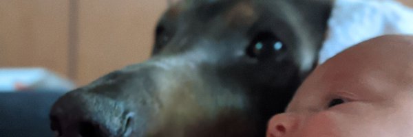 elbowgeorge Profile Banner