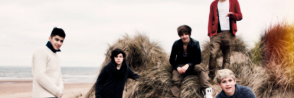 flyingstep2 Profile Banner