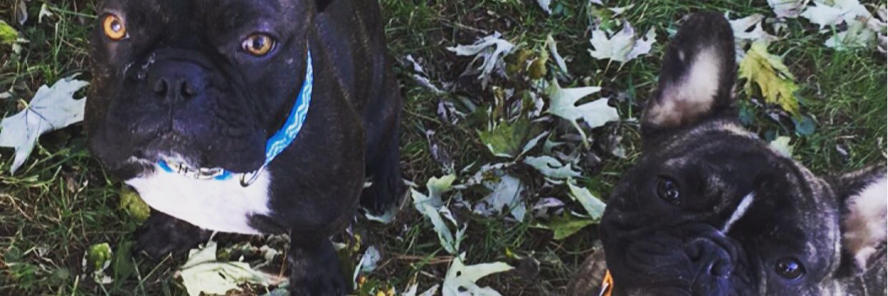 kaitlyndewitt26's profile banner image