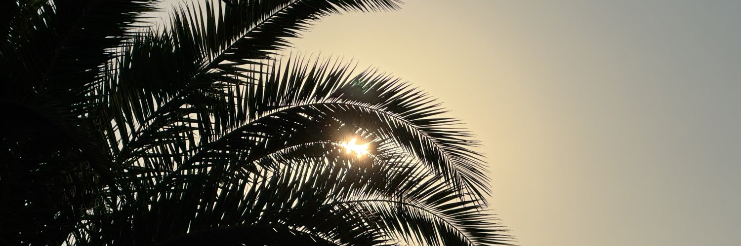 palm beach Pete banner