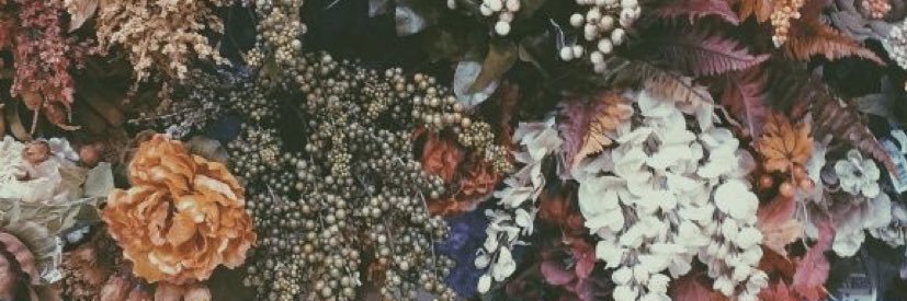 Hali Meade banner