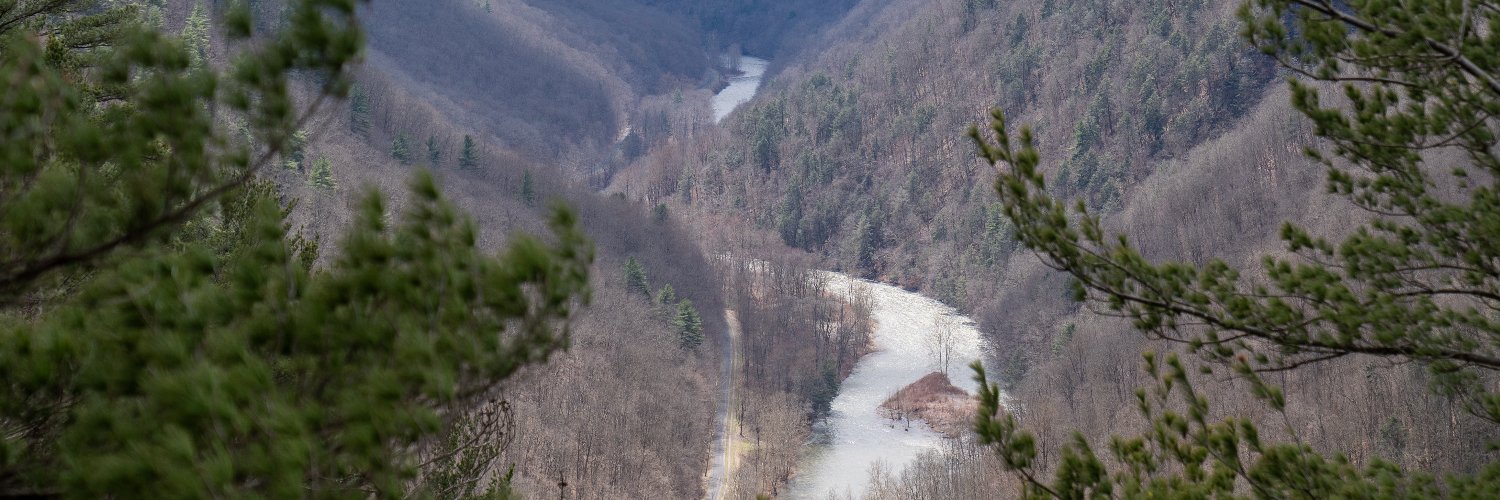 danzalewski3's profile banner image