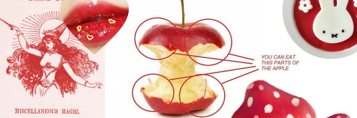 🍎 banner
