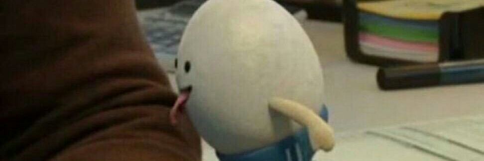 León Conquistador banner