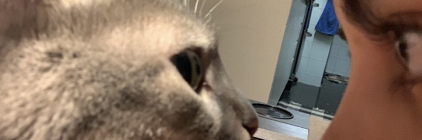 bergolilice's profile banner image