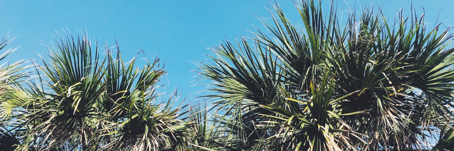 JettJillian's profile banner image