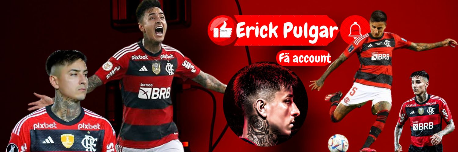 Erick Pulgar  banner