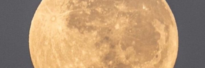 Everyone Wellness banner