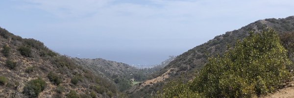 Rachelmcalli Profile Banner