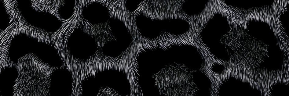 PeQwe's profile banner image