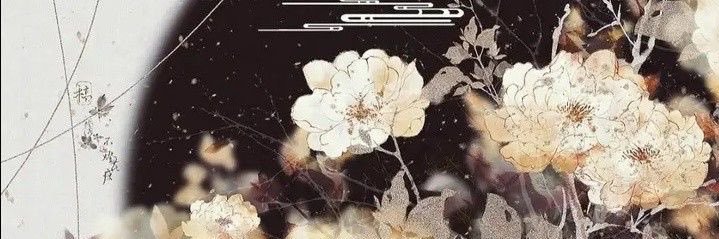 quinn ❥ banner