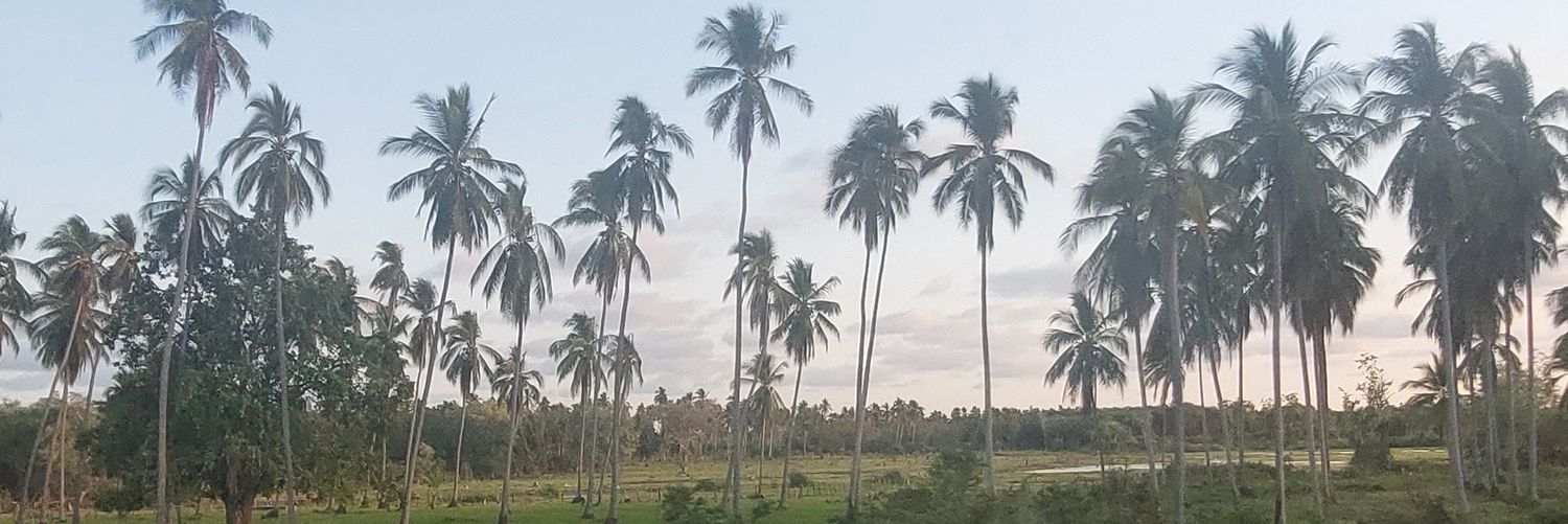 suleyka Lezama banner