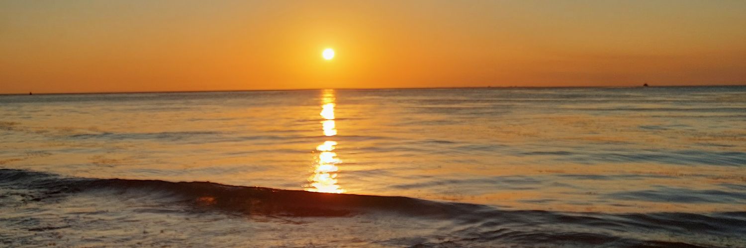 elvi2588's profile banner image