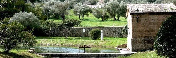 🔻🇵🇸🇮🇷🇱🇧🇧🇷Dantempul🇾🇪🇿🇦🇮🇪🇳🇴🇻🇪 banner