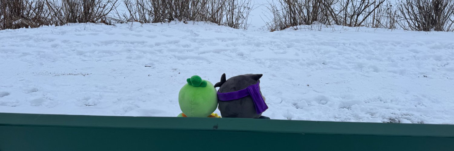 Aevr1th's profile banner image