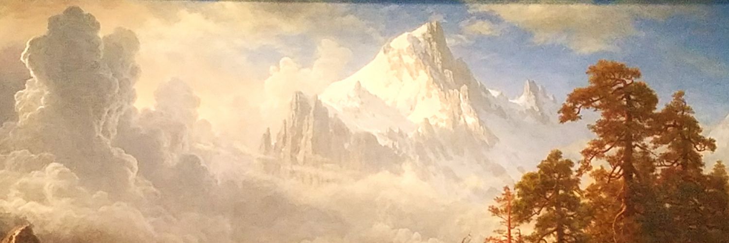 drunk_buffalo1's profile banner image