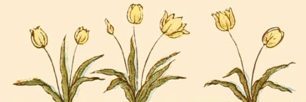 deadcomfarofa Profile Banner