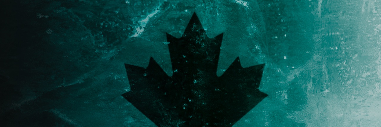 DZR R6 Official banner