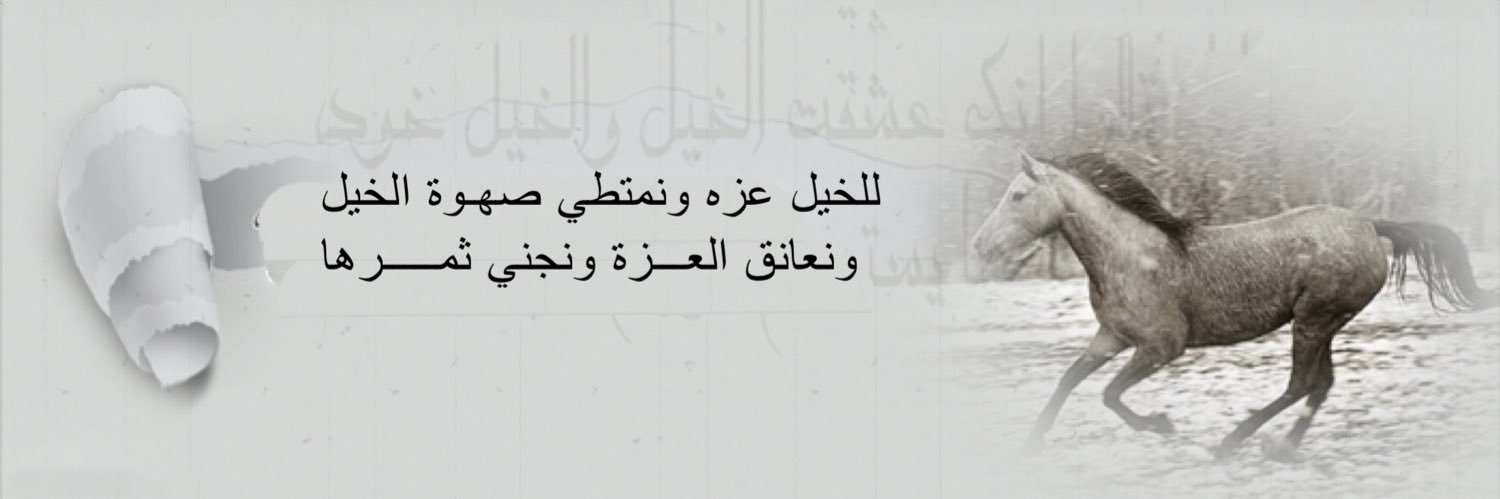 M_Rukaibi's profile banner image