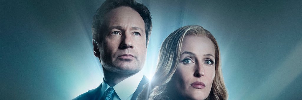 412724softball banner