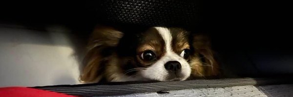 33WxO Profile Banner