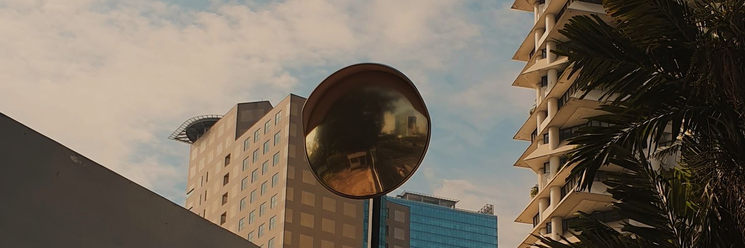 dillara310's profile banner image