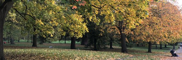 LucyMarks Profile Banner
