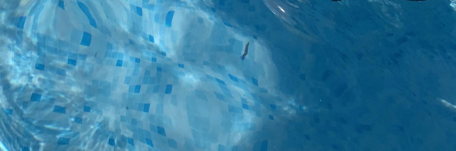 franklinandrea's profile banner image