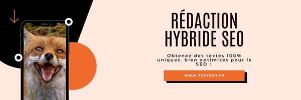 TexfoxtSeo Profile Banner