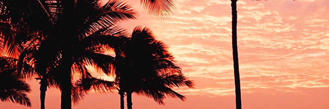 Torieanne22's profile banner image