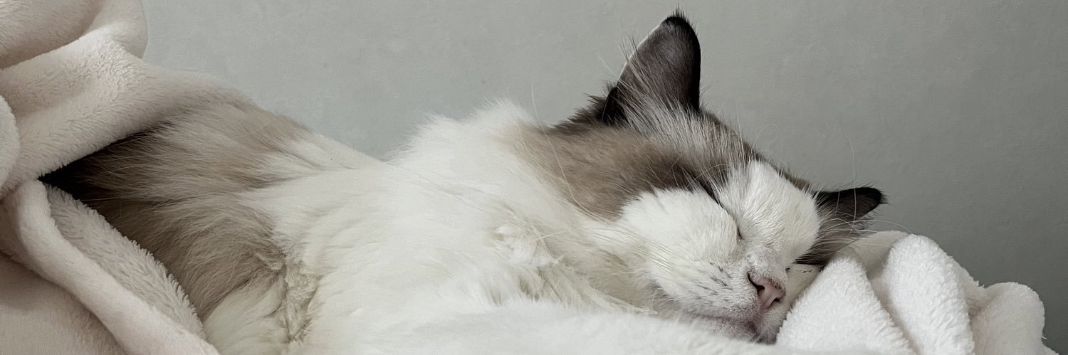 akhsmz's profile banner image