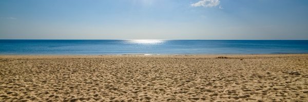 TinsleyWelker Profile Banner