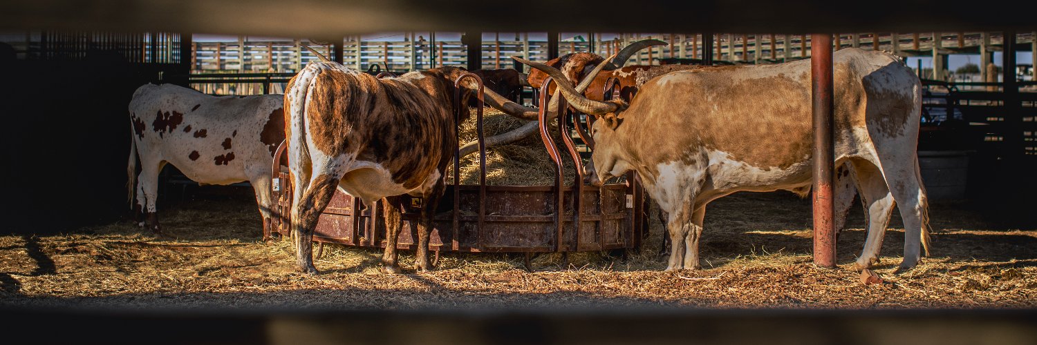 West Texian's banner
