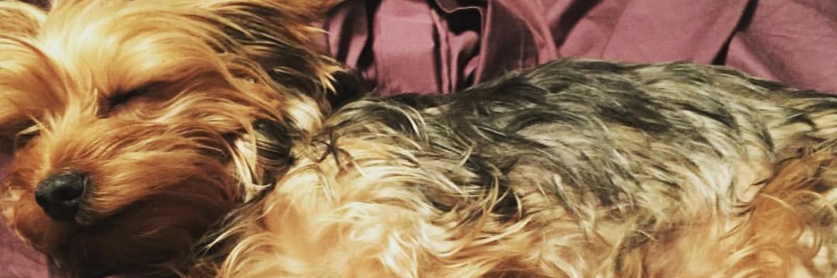 JD banner