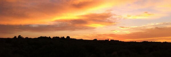 MassHas Profile Banner