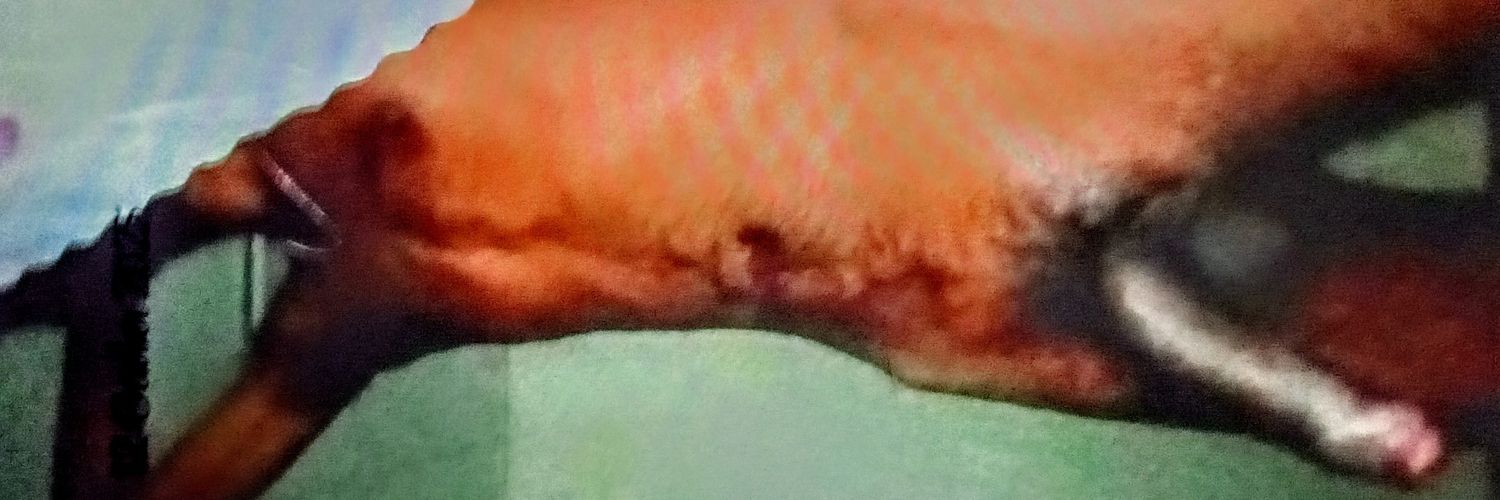 ƨℓιм ѵεяƨ💦🤤 banner