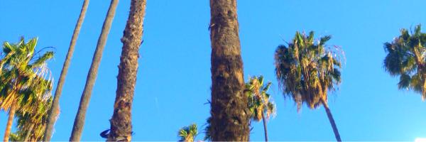 melpeevs Profile Banner