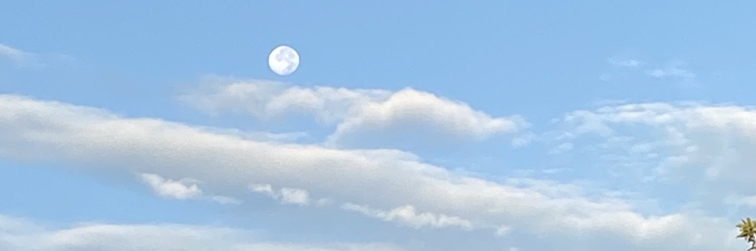 ebi087's profile banner image