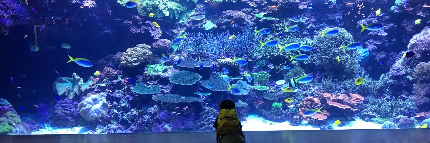 ユミコ＠サイバーコネクトツー banner