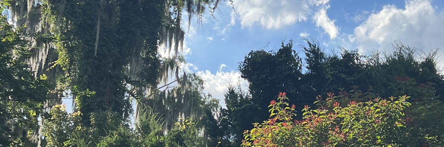 Honestly_Erin's profile banner image