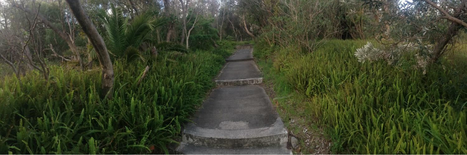 LeighRigozzi's profile banner image