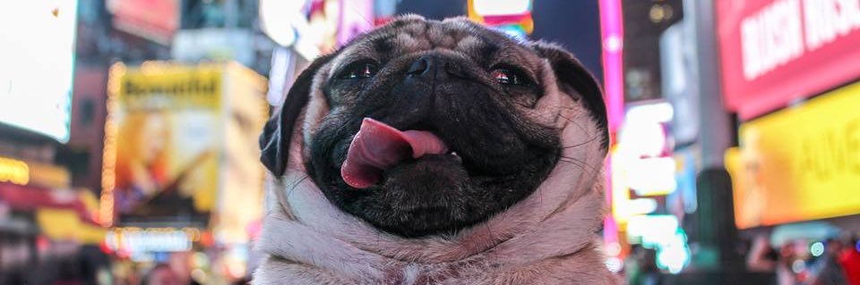 andyfields21's profile banner image