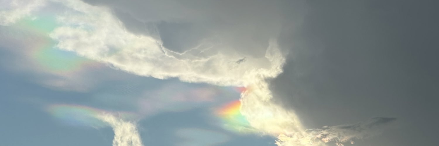multi 🌈 banner