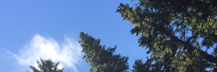eor9's profile banner image