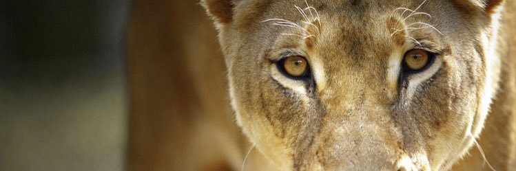 Alexa Ramos-Rodriguez banner