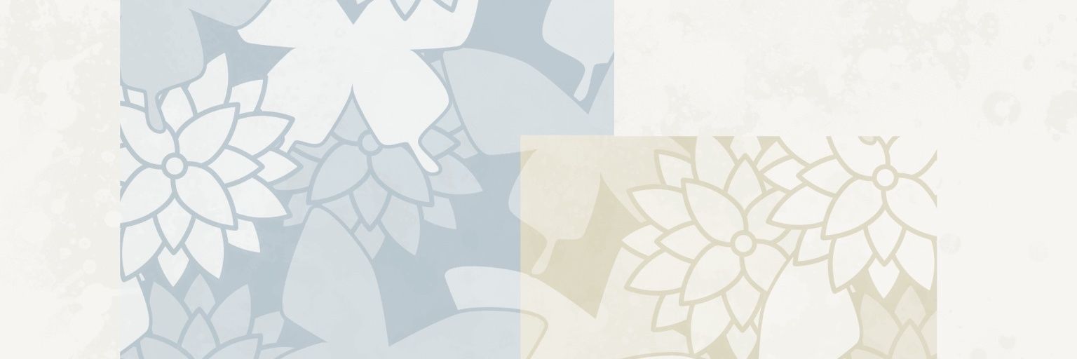 ☪︎ ִ ֶ֢࣪⋆ Ruko / Neo 𖤓 banner