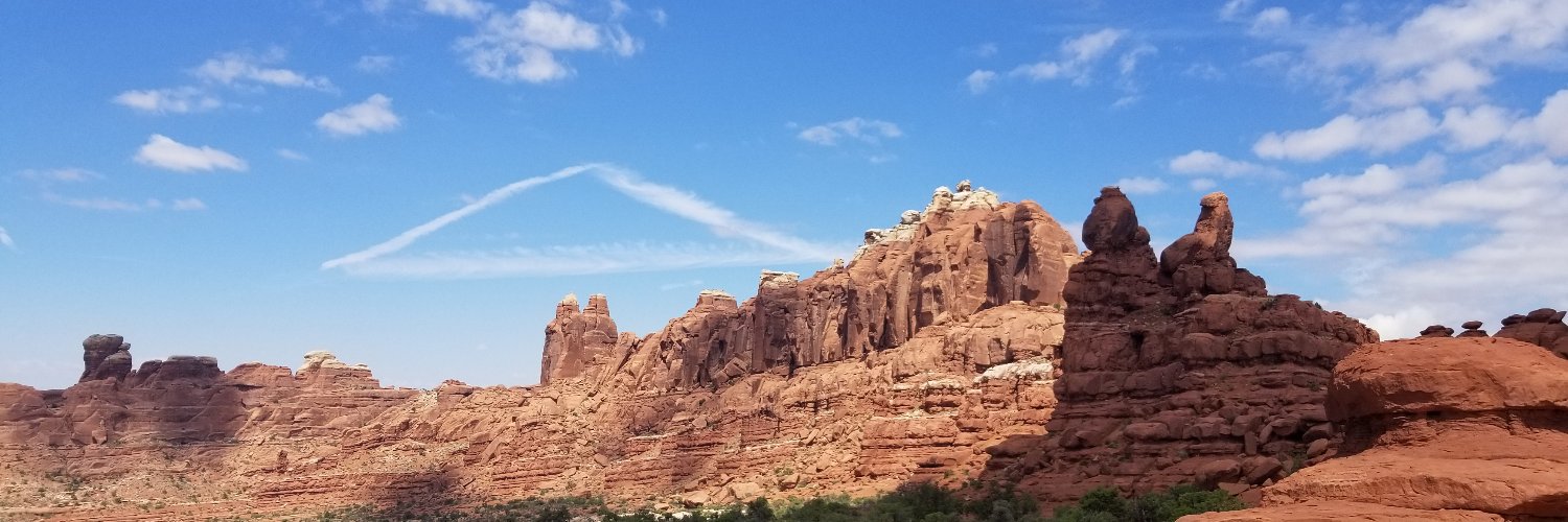 Skinny Post Malone 🇺🇸 banner