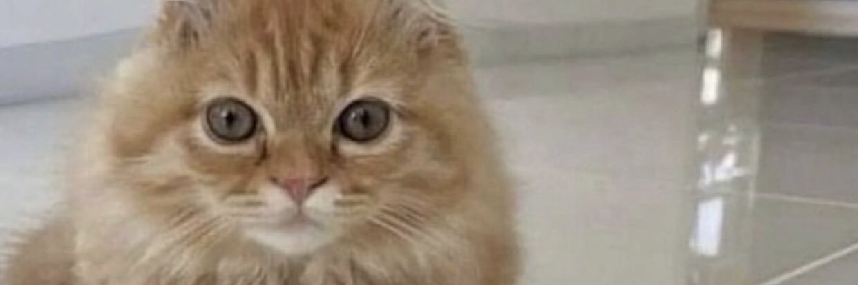 titanfall gamer banner