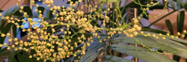 DavidClimateGuy Profile Banner