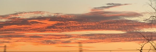 patsy__p Profile Banner